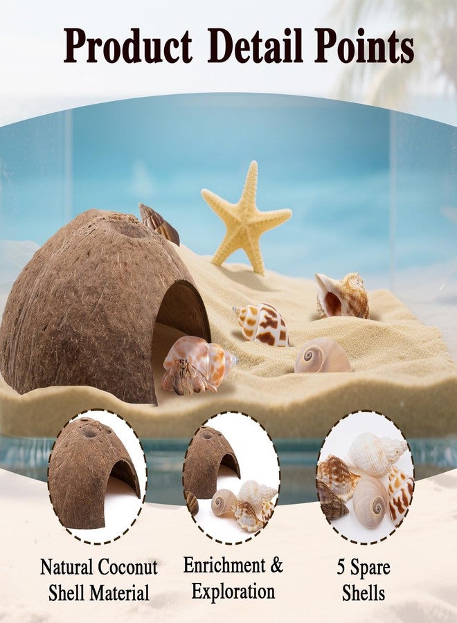 Niuohoy Hermit Crab Shells 1 Coconut Shell Hut 5 PCS Hermit Crab Seashells Accessories Decorations Enrichment Hut for House Hermit Crab Tank Hide Reptile Hideout - Image 3